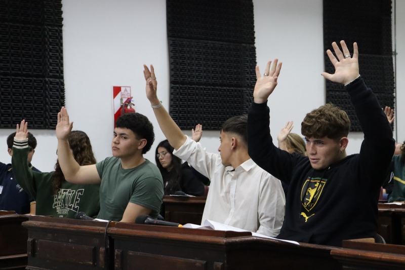 Todos los proyectos que aprob el HCD Estudiantil